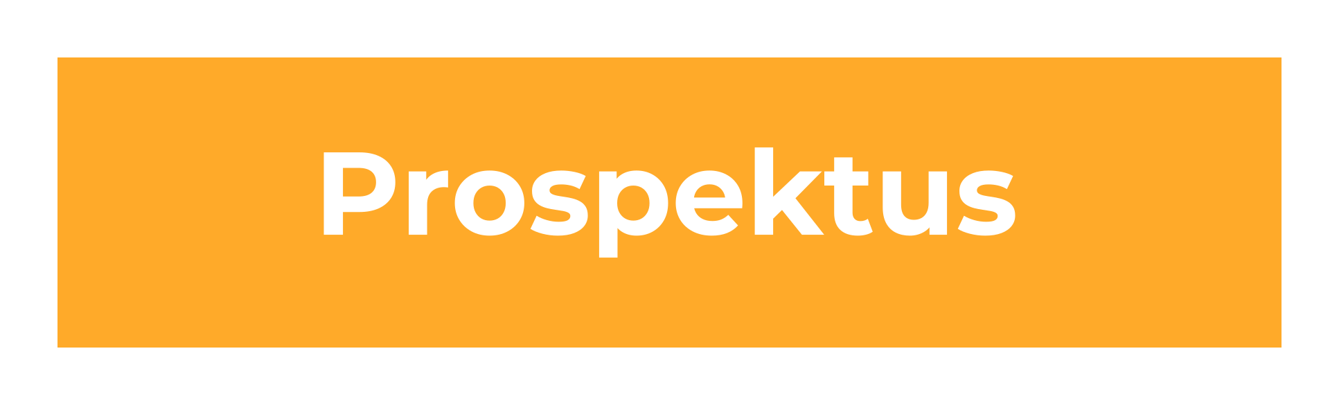 Prospektus